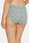 Zivame Anti-Microbial Low Rise Full Coverage Bikini Panty (Pack of 3) - Multicolor — thumbnail 5